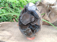 Polished XL Septerye Sauvage "Dragons Egg" Geode x 1 From Mahajanga, Madagascar