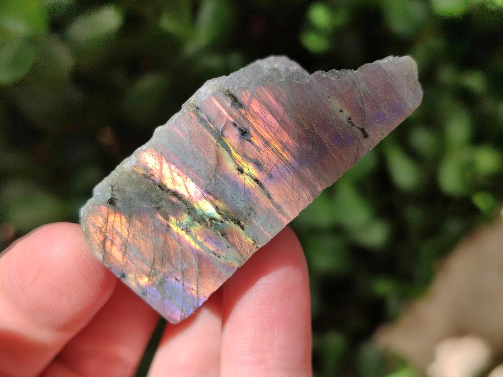 Polished One Side Labradorite Pieces x 26 From Madagascar