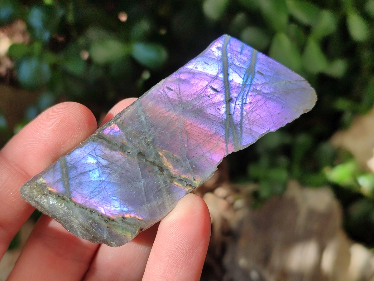 Polished One Side Labradorite Pieces x 26 From Madagascar