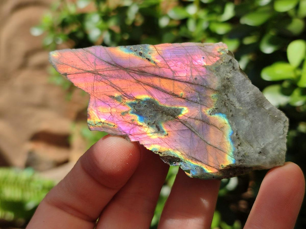 Polished One Side Labradorite Pieces x 26 From Madagascar