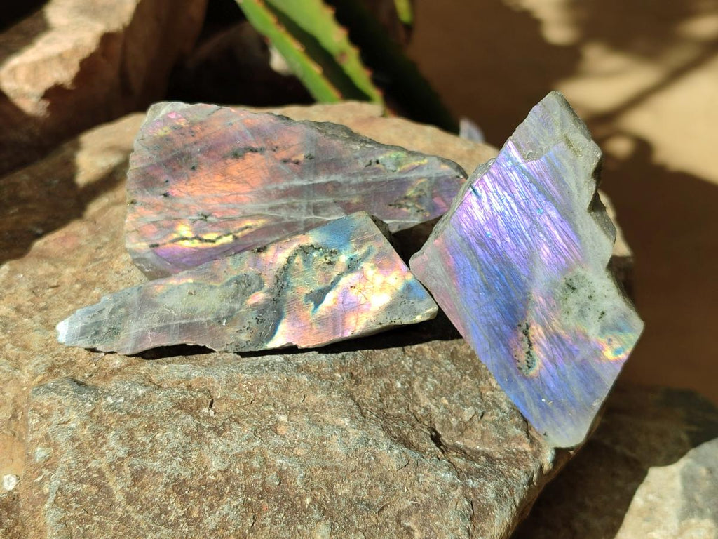 Polished One Side Labradorite Pieces x 26 From Madagascar