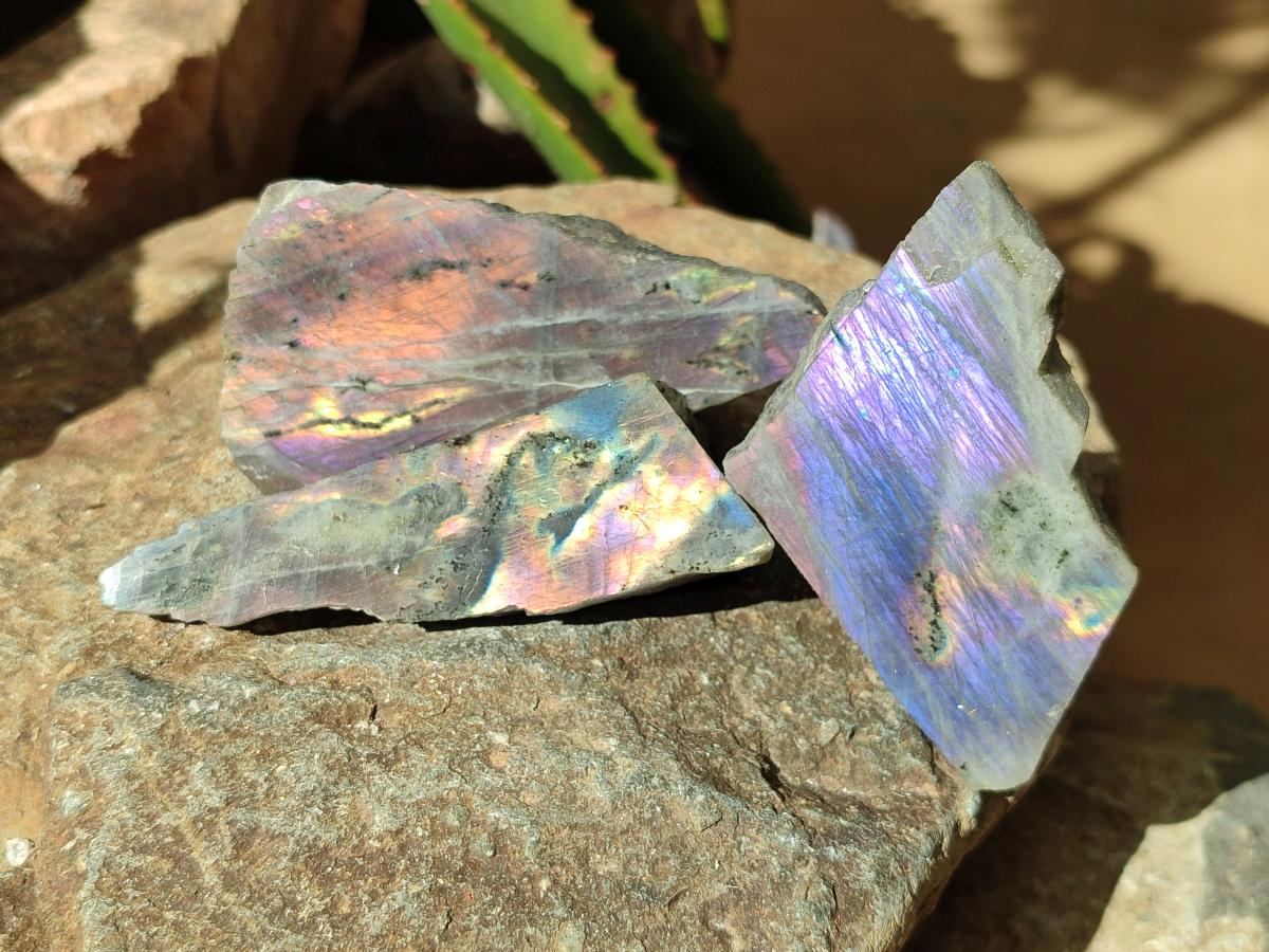 Polished One Side Labradorite Pieces x 26 From Madagascar