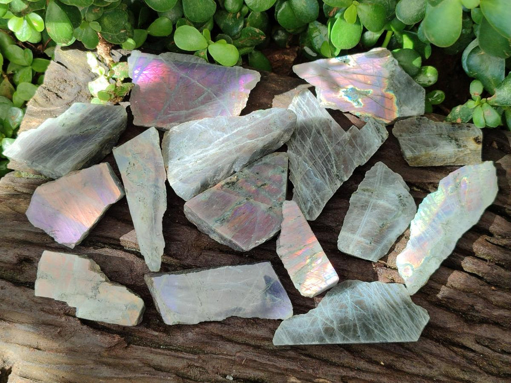 Polished One Side Labradorite Pieces x 26 From Madagascar