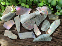 Polished One Side Labradorite Pieces x 26 From Madagascar