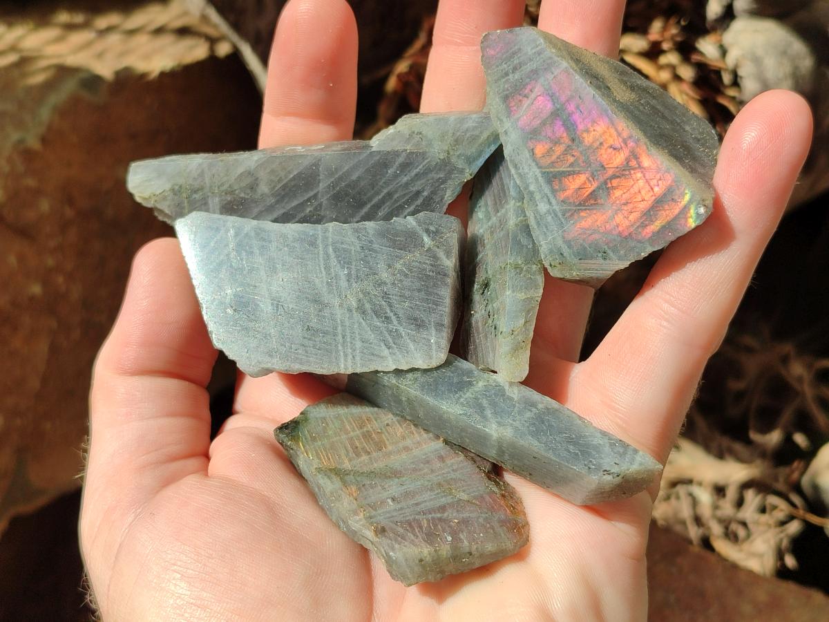 Polished One Side Labradorite Pieces x 26 From Madagascar