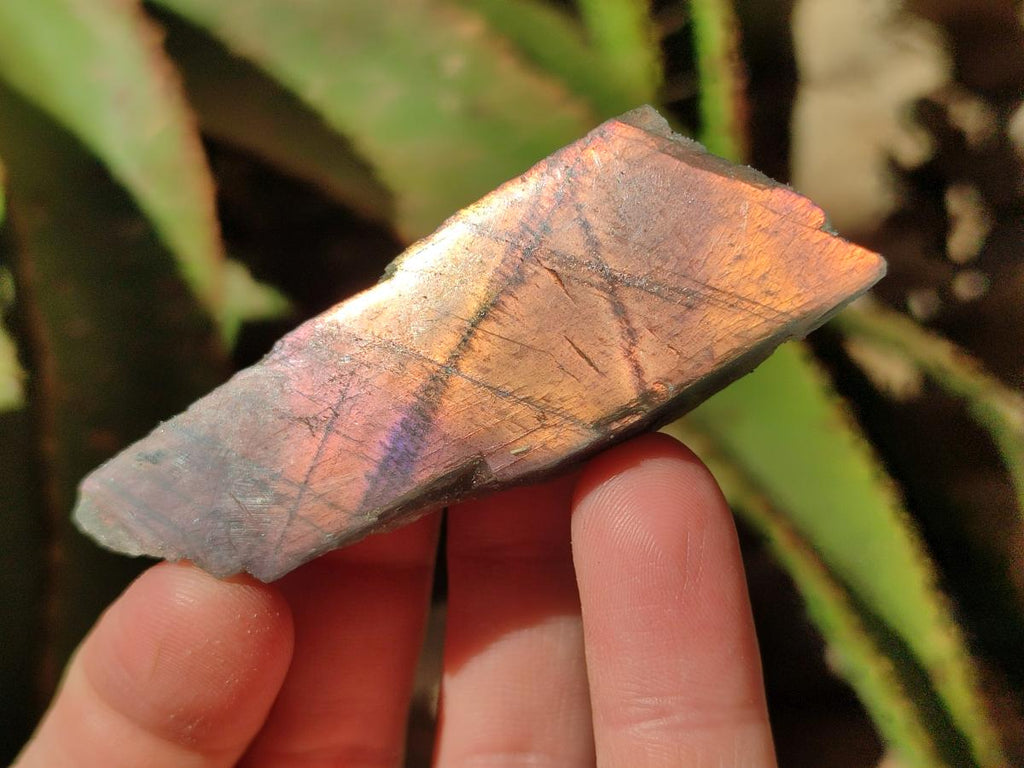 Polished One Side Labradorite Pieces x 26 From Madagascar