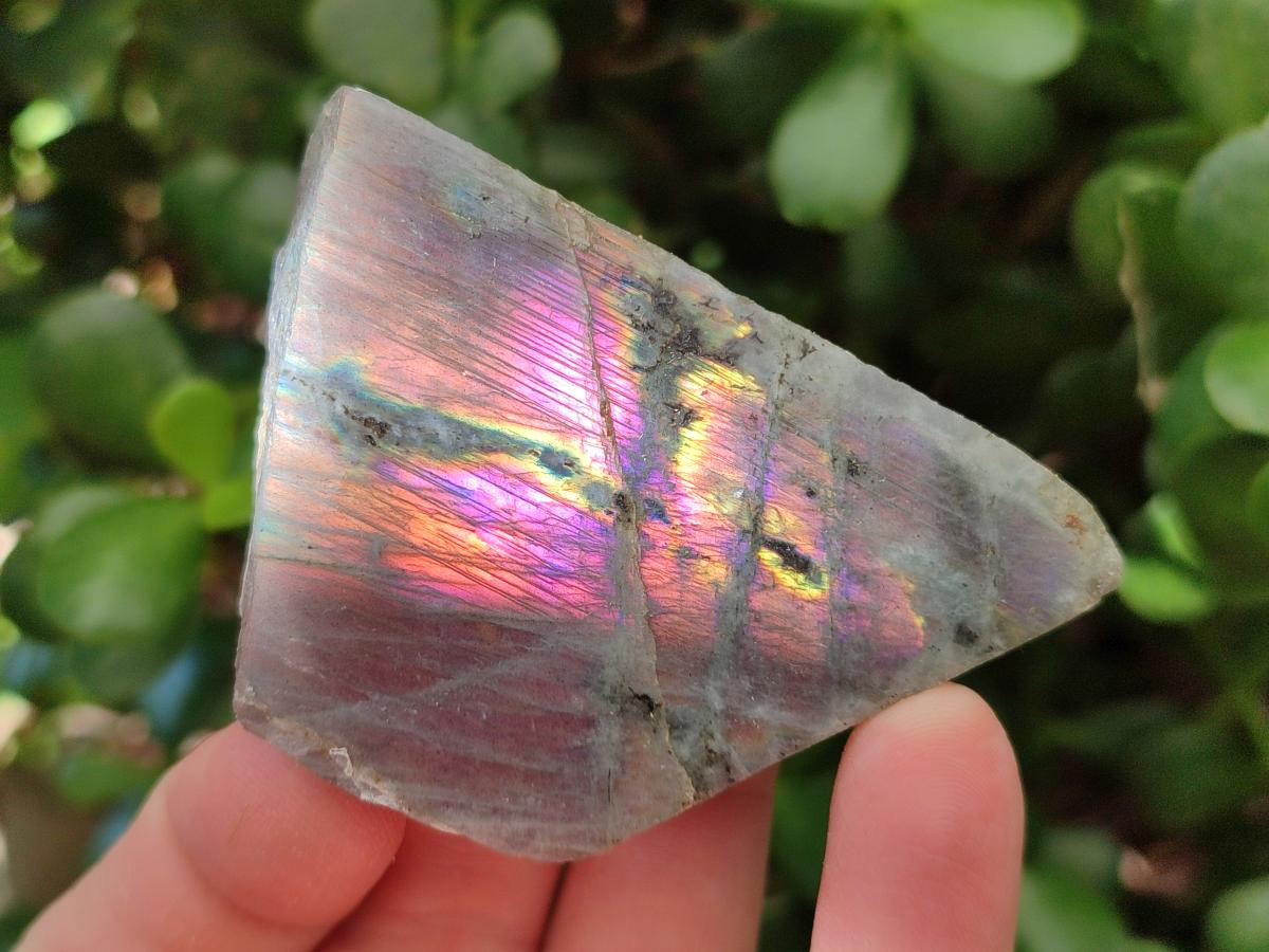 Polished One Side Labradorite Pieces x 26 From Madagascar