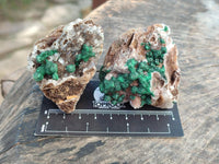 Natural Drusy Quartz Coated Ball Malachite On Dolomite Specimens x 6 From Mindingi Mine, Kambove, Congo