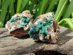 Natural Drusy Quartz Coated Ball Malachite On Dolomite Specimens x 6 From Mindingi Mine, Kambove, Congo