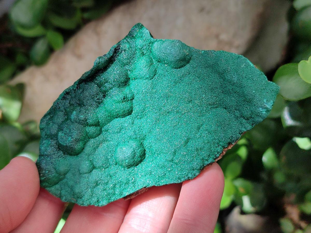Natural Drusy Quartz Coated Ball Malachite On Dolomite Specimens x 6 From Mindingi Mine, Kambove, Congo
