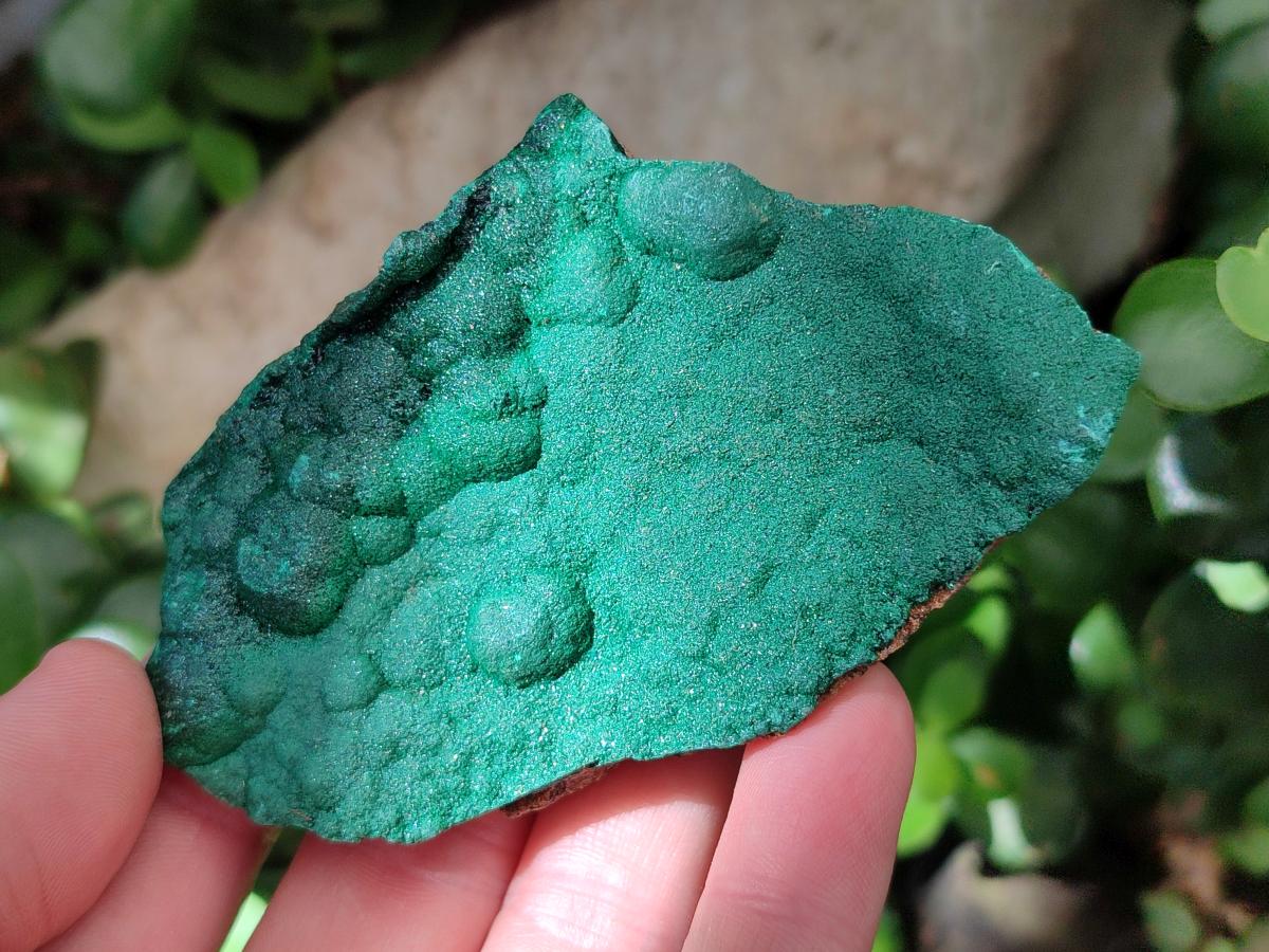 Natural Drusy Quartz Coated Ball Malachite On Dolomite Specimens x 6 From Mindingi Mine, Kambove, Congo