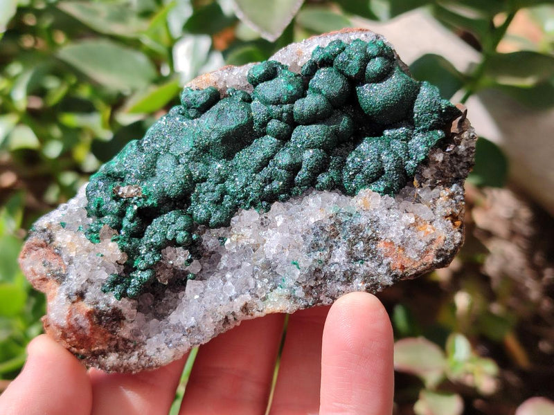 Natural Drusy Quartz Coated Ball Malachite On Dolomite Specimens x 6 From Mindingi Mine, Kambove, Congo - Toprock Gemstones and Minerals 