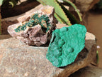 Natural Drusy Quartz Coated Ball Malachite On Dolomite Specimens x 6 From Mindingi Mine, Kambove, Congo
