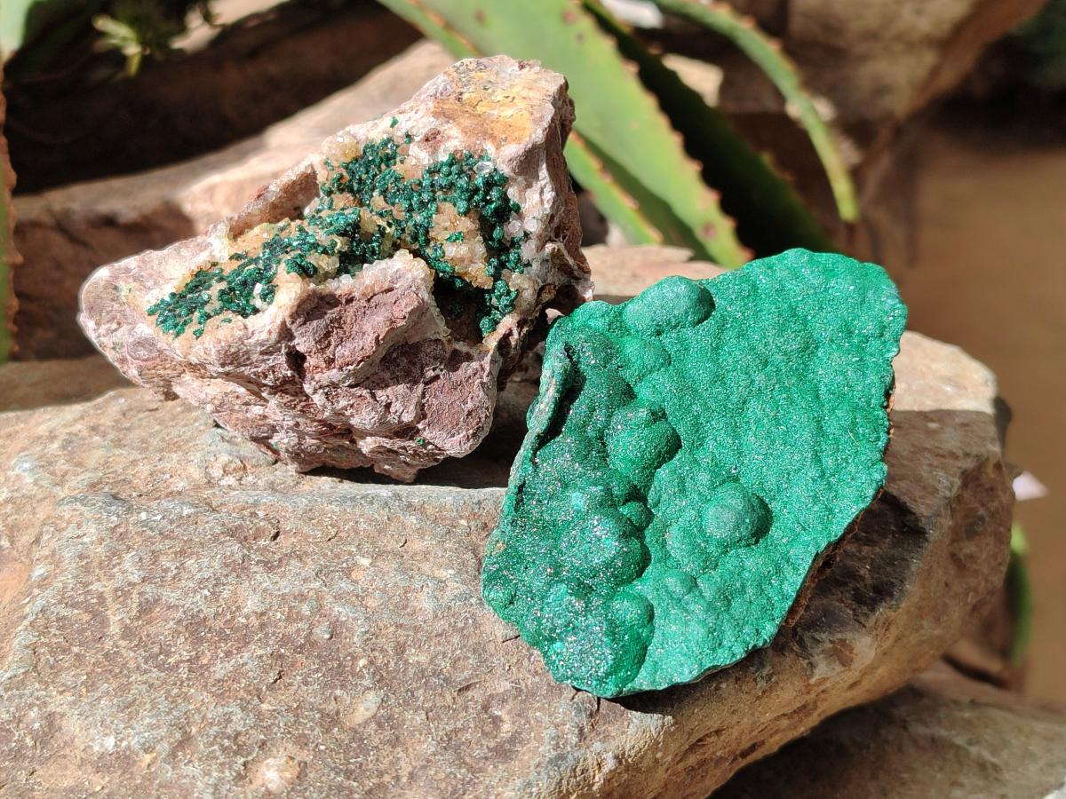 Natural Drusy Quartz Coated Ball Malachite On Dolomite Specimens x 6 From Mindingi Mine, Kambove, Congo