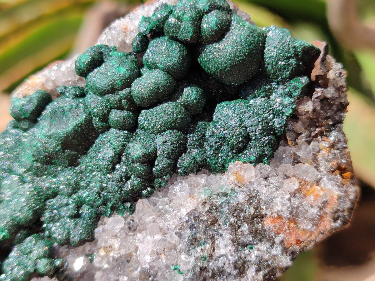 Natural Drusy Quartz Coated Ball Malachite On Dolomite Specimens x 6 From Mindingi Mine, Kambove, Congo
