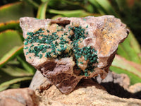 Natural Drusy Quartz Coated Ball Malachite On Dolomite Specimens x 6 From Mindingi Mine, Kambove, Congo