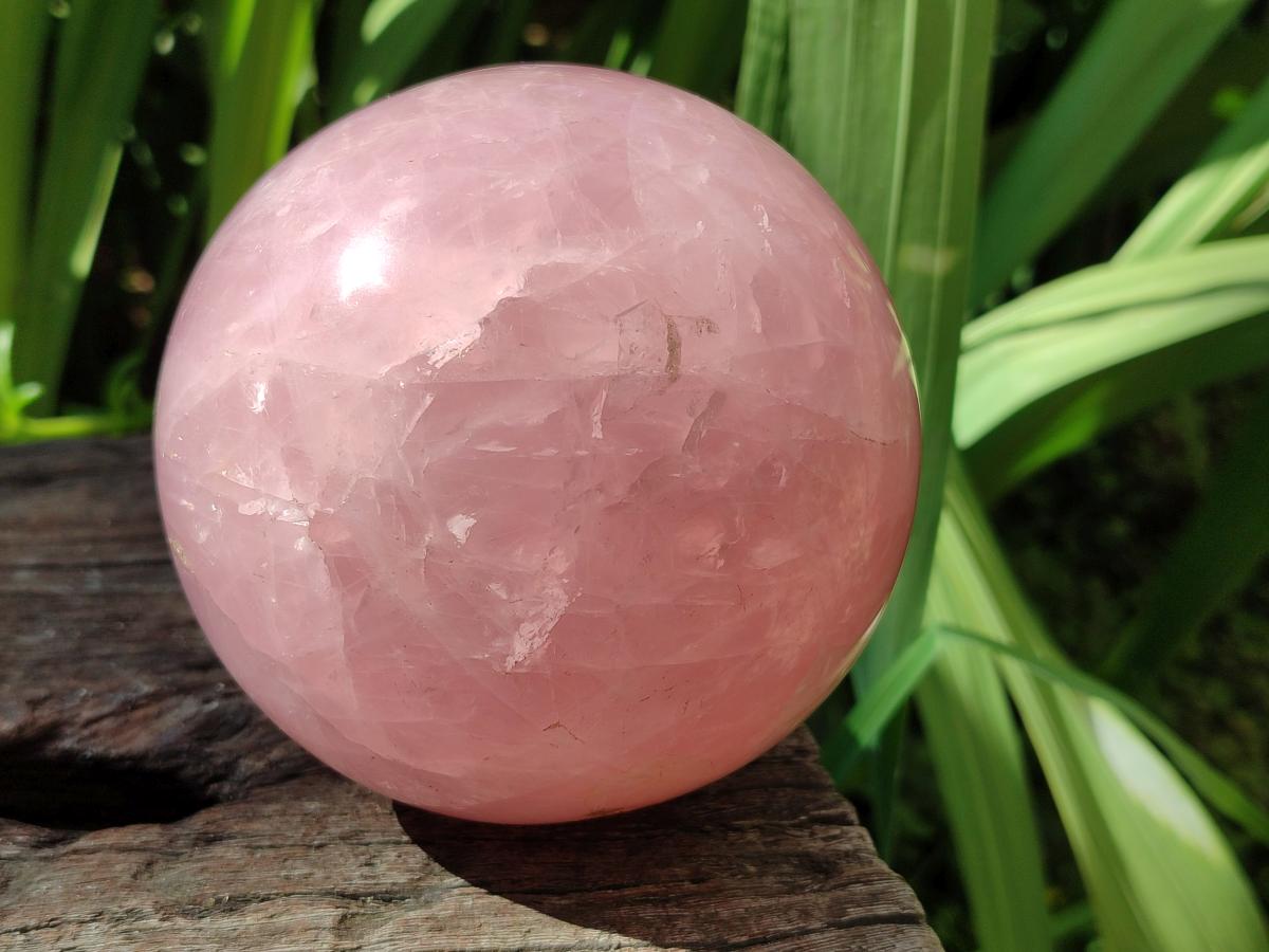 Polished Large Gemmy Star Rose Quartz Sphere x 1 From Madagascar