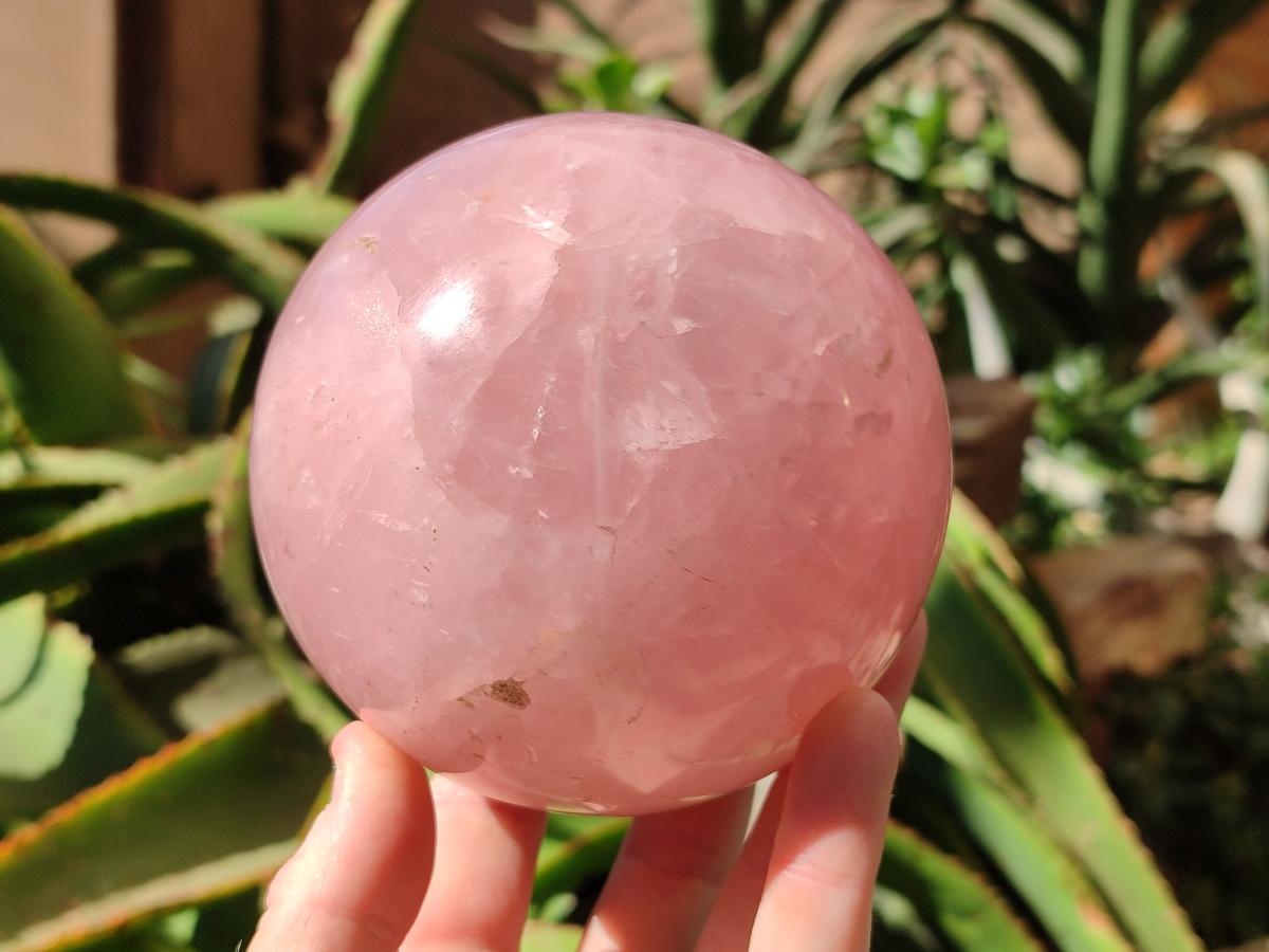 Polished Large Gemmy Star Rose Quartz Sphere x 1 From Madagascar