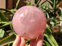 Polished Large Gemmy Star Rose Quartz Sphere x 1 From Madagascar