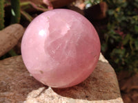 Polished Large Gemmy Star Rose Quartz Sphere x 1 From Madagascar