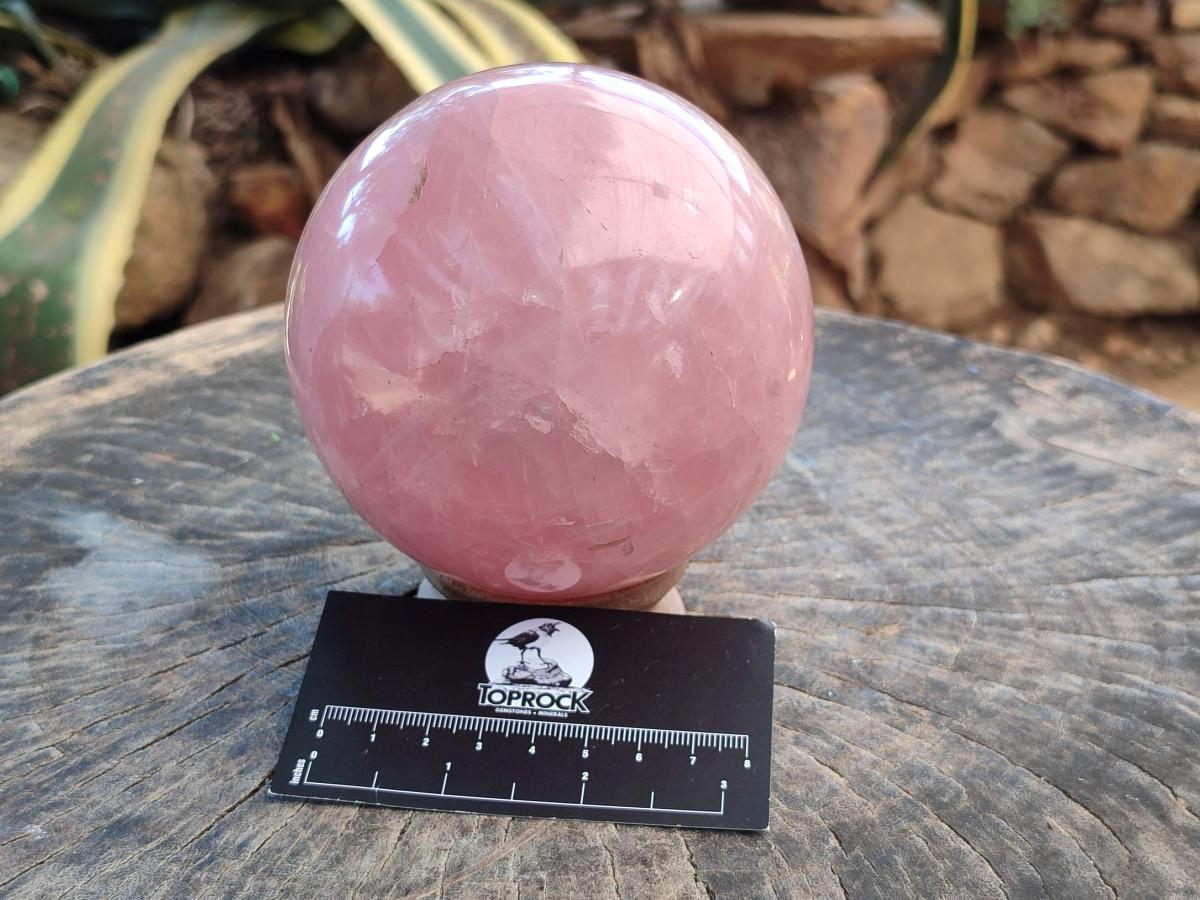 Polished Large Gemmy Star Rose Quartz Sphere x 1 From Madagascar