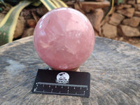 Polished Large Gemmy Star Rose Quartz Sphere x 1 From Madagascar
