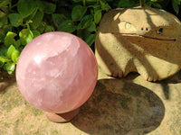 Polished Large Gemmy Star Rose Quartz Sphere x 1 From Madagascar