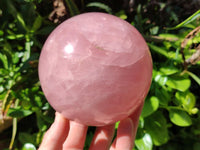 Polished Large Gemmy Star Rose Quartz Sphere x 1 From Madagascar
