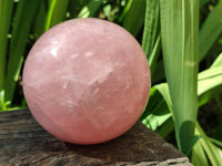 Polished Large Gemmy Star Rose Quartz Sphere x 1 From Madagascar