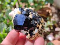 Natural Schorl Black Tourmaline with Feldspar Specimens x 12 From Erongo, Namibia