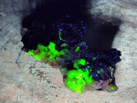 Natural Schorl Black Tourmaline with Feldspar Specimens x 12 From Erongo, Namibia