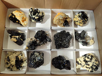 Natural Schorl Black Tourmaline with Feldspar Specimens x 12 From Erongo, Namibia