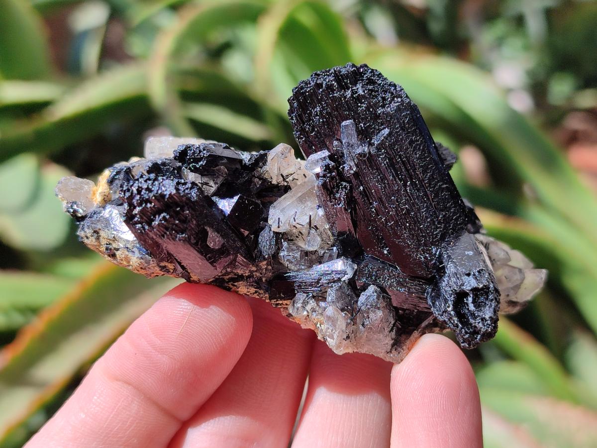 Natural Schorl Black Tourmaline with Feldspar Specimens x 12 From Erongo, Namibia