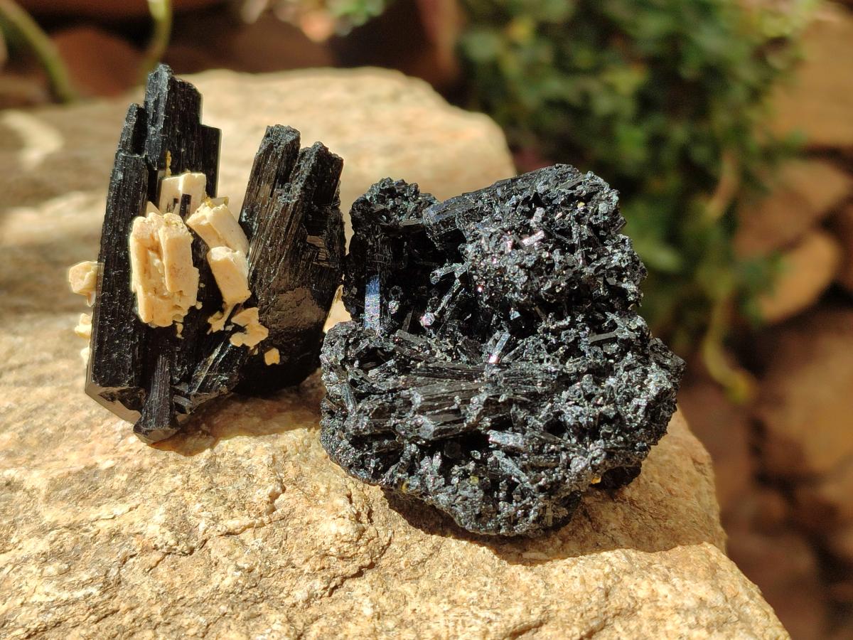 Natural Schorl Black Tourmaline with Feldspar Specimens x 12 From Erongo, Namibia