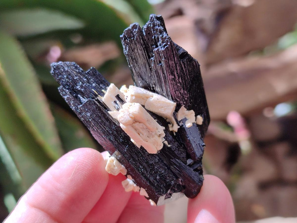 Natural Schorl Black Tourmaline with Feldspar Specimens x 12 From Erongo, Namibia