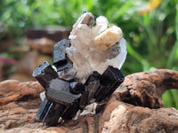 Natural Schorl Black Tourmaline with Feldspar Specimens x 12 From Erongo, Namibia