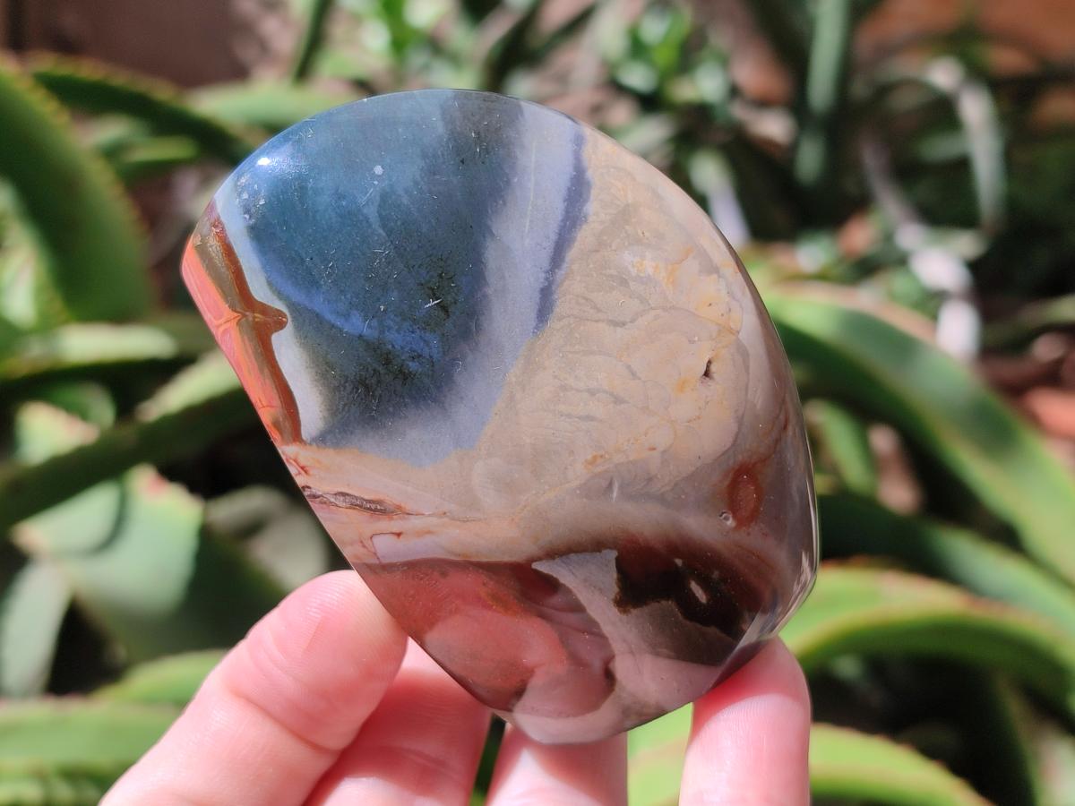 Polished Polychrome Jasper Flames x 6 From NW Coast, Madagascar