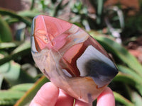 Polished Polychrome Jasper Flames x 6 From NW Coast, Madagascar