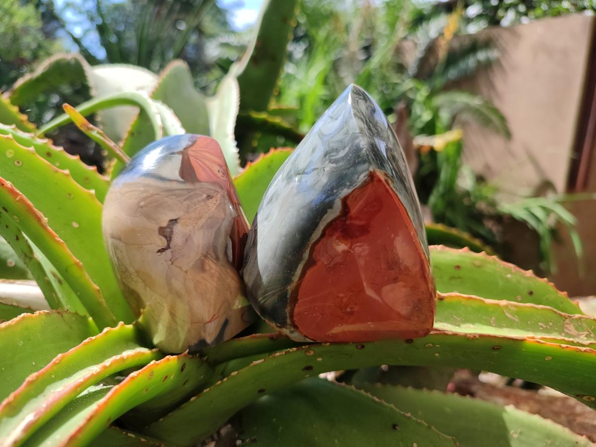 Polished Polychrome Jasper Flames x 6 From NW Coast, Madagascar