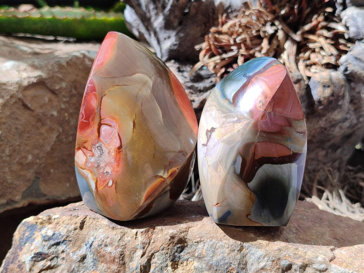 Polished Polychrome Jasper Flames x 6 From NW Coast, Madagascar