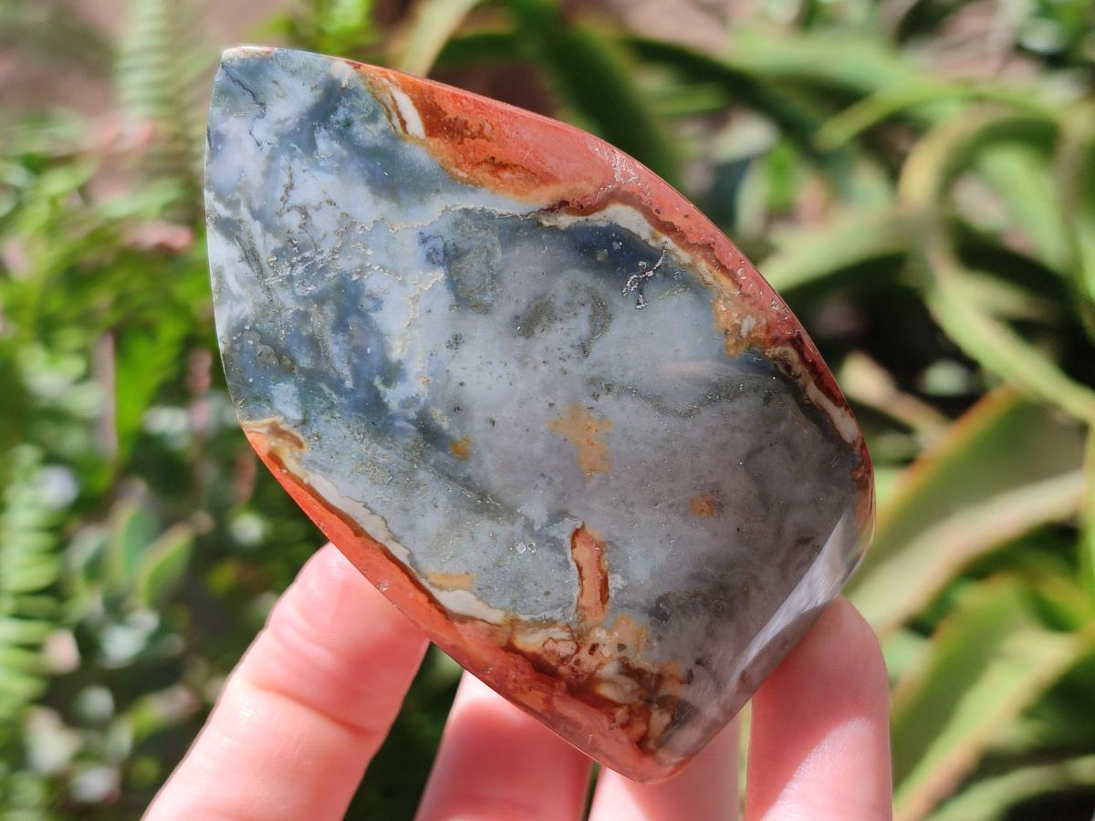 Polished Polychrome Jasper Flames x 6 From NW Coast, Madagascar