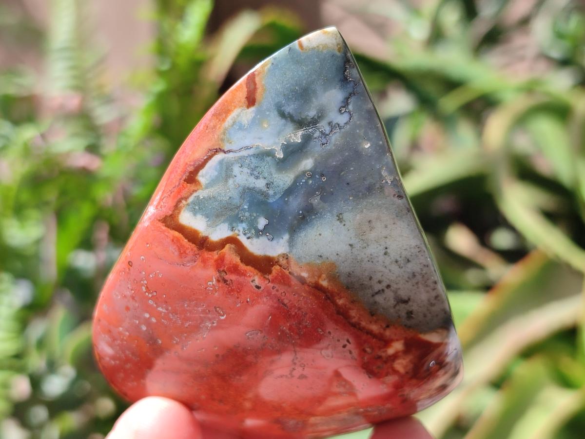 Polished Polychrome Jasper Flames x 6 From NW Coast, Madagascar