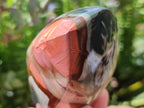 Polished Polychrome Jasper Flames x 6 From NW Coast, Madagascar