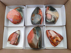 Polished Polychrome Jasper Flames x 6 From NW Coast, Madagascar
