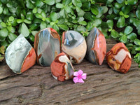 Polished Polychrome Jasper Flames x 6 From NW Coast, Madagascar