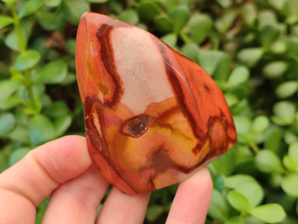 Polished Polychrome Jasper Flames x 6 From NW Coast, Madagascar