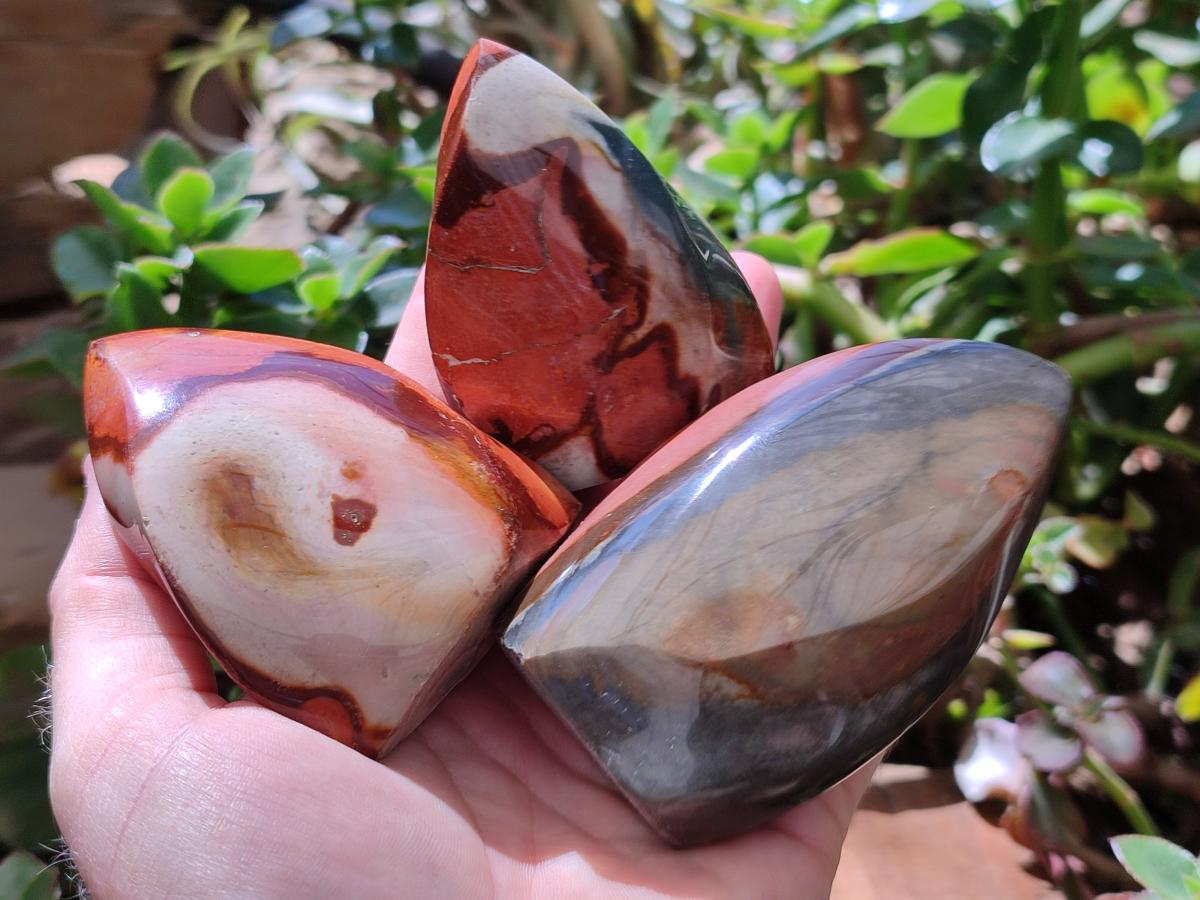 Polished Polychrome Jasper Flames x 6 From NW Coast, Madagascar