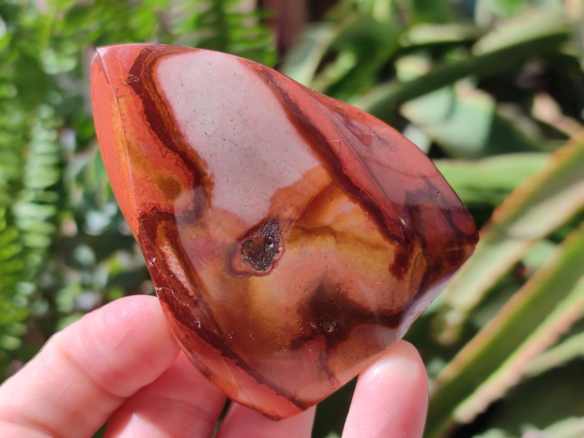 Polished Polychrome Jasper Flames x 6 From NW Coast, Madagascar