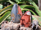 Polished Polychrome Jasper Flames x 6 From NW Coast, Madagascar