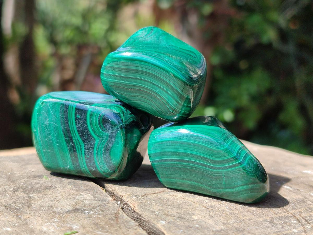 Polished Flower Banded Malachite Free Forms x 20 From Congo